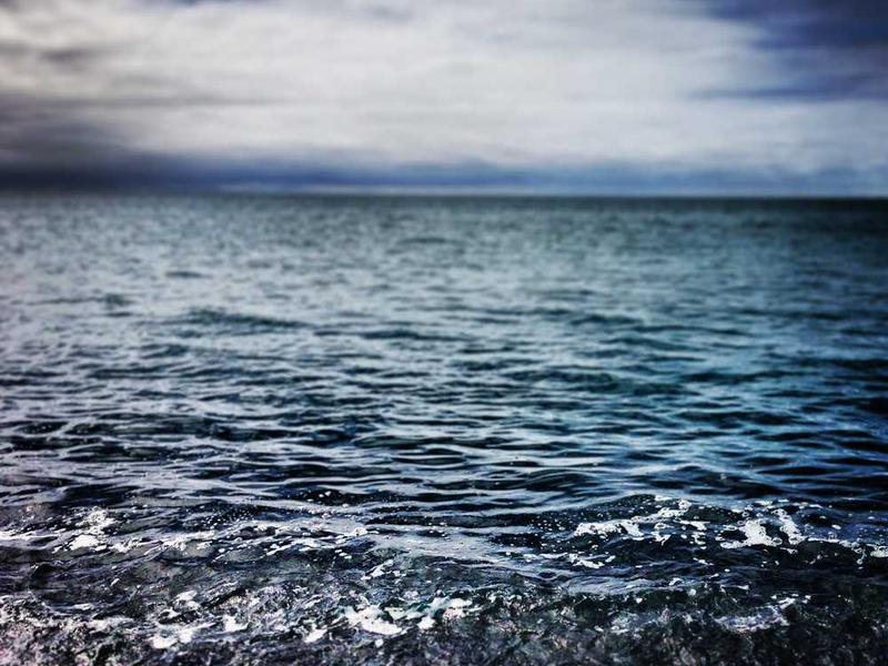 自治体業務RPA導入支援